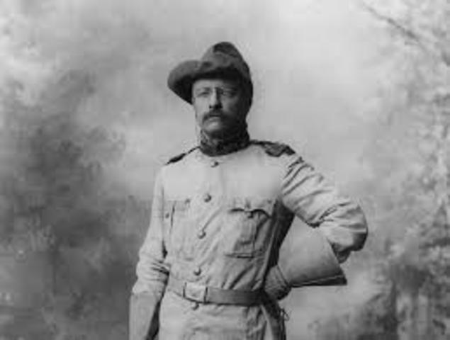 Theodore(Teddy Roosevelt)