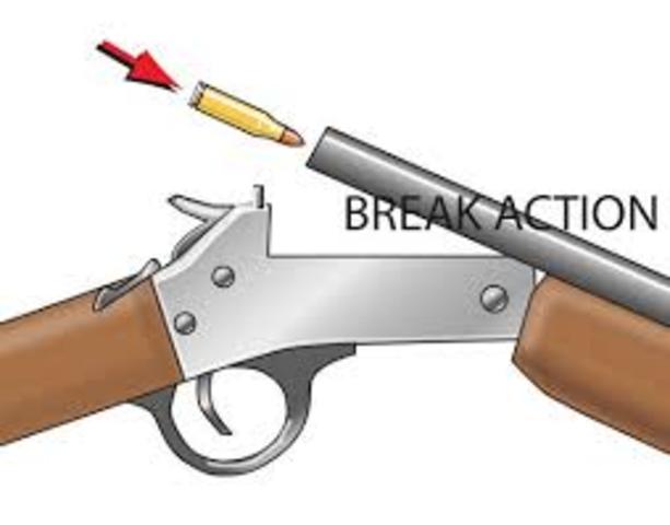 Break Action Rifle