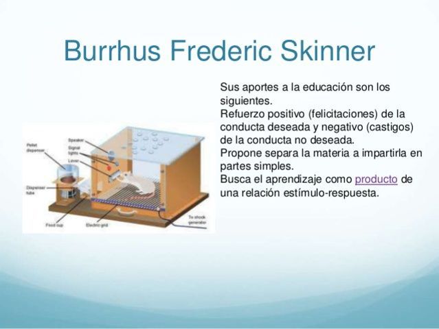 psicología del aprendizaje