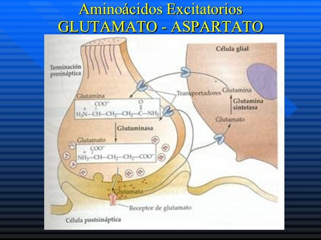 Lesiones provocadas por aminoácidos excitatorios