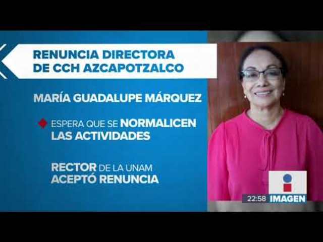 RENUNCIA DE LA DIRECTORA