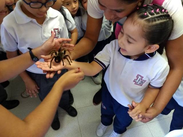 Apertura del Nivel Preescolar
