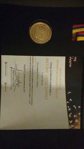 condecoración nivel superior ICFES