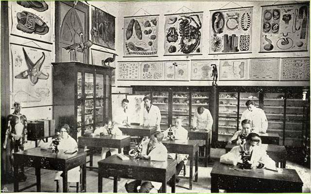 Sec. XIX: Surgimento dos quadros parientais e do quadro negro.