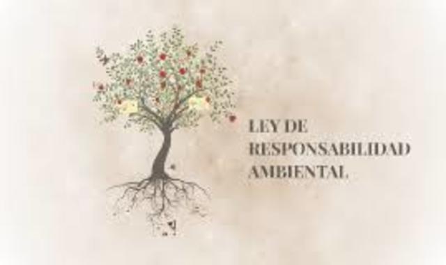 Libro Blanco responsabilidad ambiental