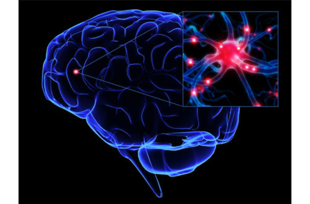 LESIONES HIPOXICAS E ISQUEMICAS