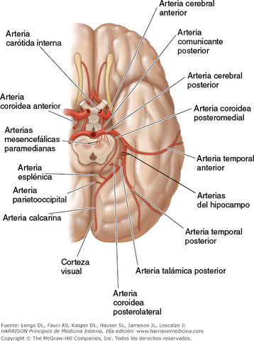 1.-Infarto en Divisoria de Aguas