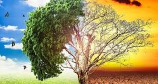 tipos de contaminación