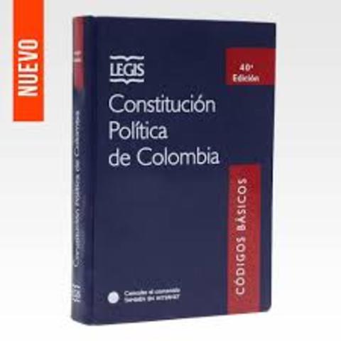 Discusión en la constitución política