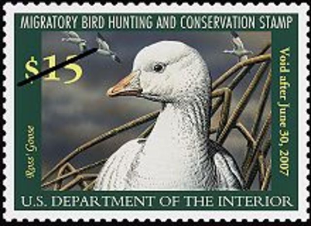 Migratory Bird Hunting Stamp Act