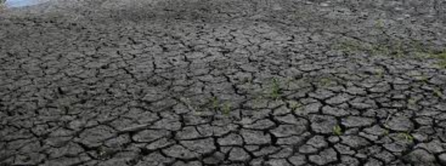 V. Dokuchaev y su reporte sobre los "Chernozems".