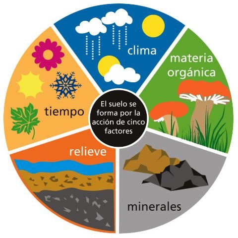 Dokuchaev y la definición de "Suelo"