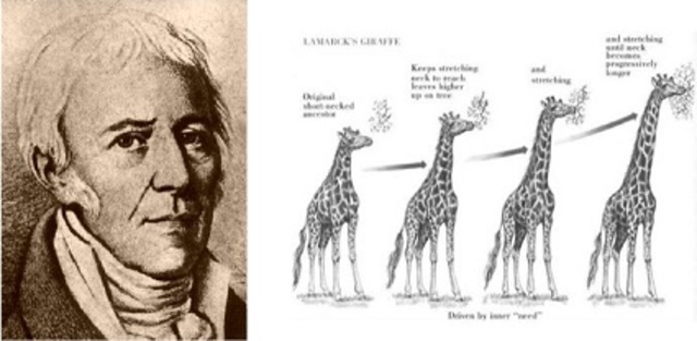 Jean-Baptiste Lamarck. Pensamiento evolucionista.