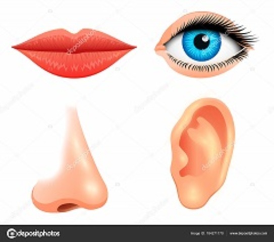 Las sensaciones. Estudio de las sensaciones.