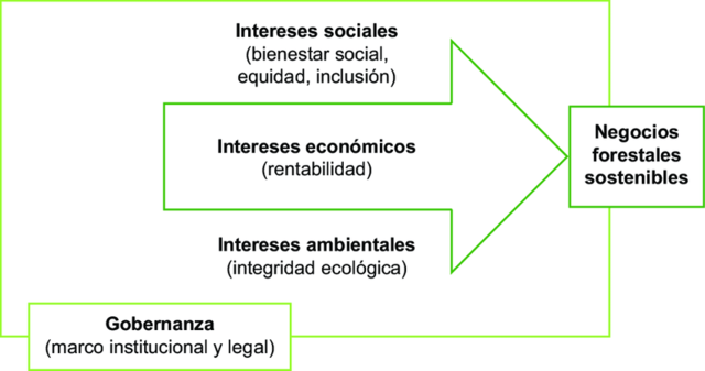 Desarrollo legal de la figura