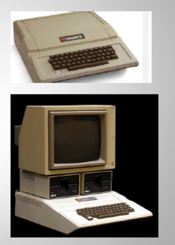 5a GENERACIÓ 1980-actualitat