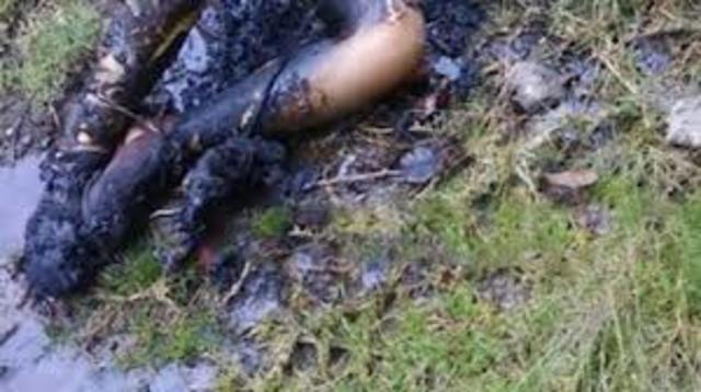 aparece cuerpo calcinado