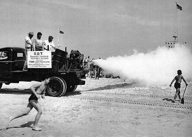 DDT and Malarial Mosquitoes