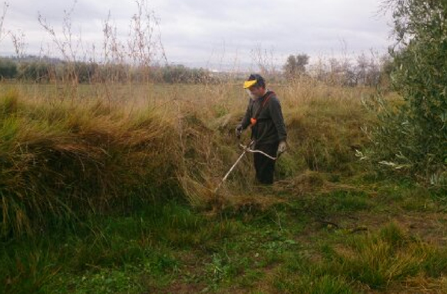 PRIMERA PARTIDA: PRELIMINARES