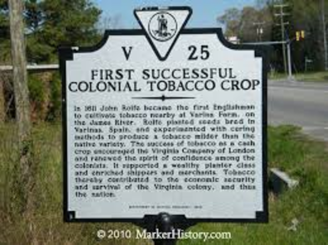 first successful tobacco