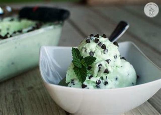Mint Chocolate Chip Ice Cream