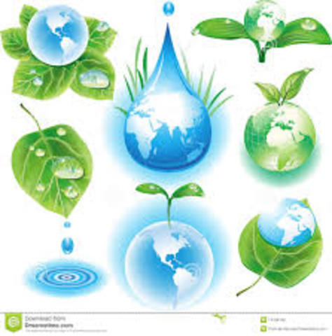 Conceptualización de ecología