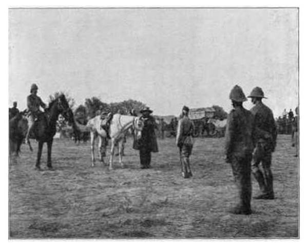 - Fracaso del tratado de paz. - Los habitantes se abalanzaron en las minas.