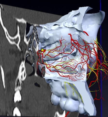 Evaluación inicial.
