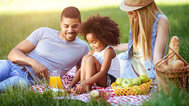 EL PUNTO DE ENCUENTRO DE LA FAMILIA Y EL DERECHO LA PROTECCIÓN CONSTITUCIONAL DE LA FAMILIA.