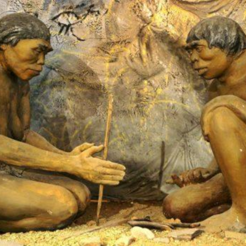 DESCUBRIMIENTO DEL FUEGO