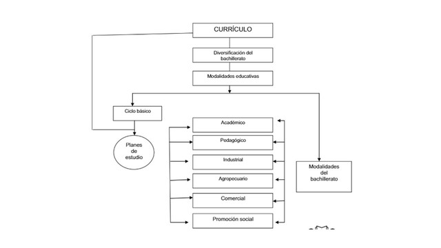 Diversificación educacional