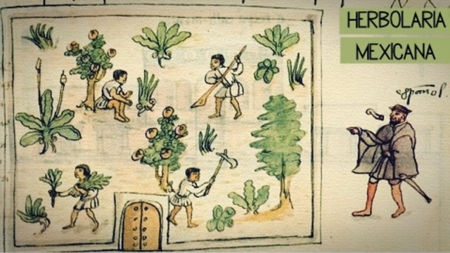 La Biotecnología antigua