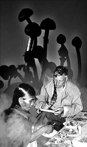 La visita de Gordon Wasson