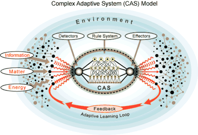 John H. Holland, Murray Gell-Mann, Harold Morowitz y W. Brian Arthur. "Sistema adaptativo complejo (CAS)"