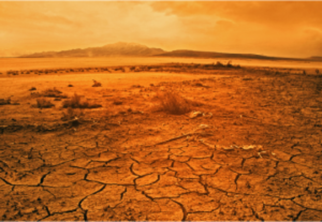 Escuela monastica de oriente