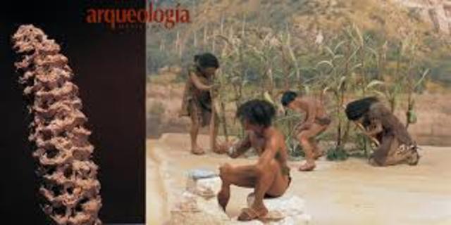 CIVILIZACION OLMECA - MESOAMERICANA