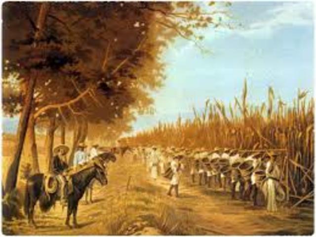 Se promulga la ley de deslinde y colonización de terrenos baldios