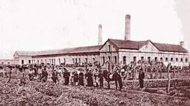 Se funda la bolsa azucarera en México