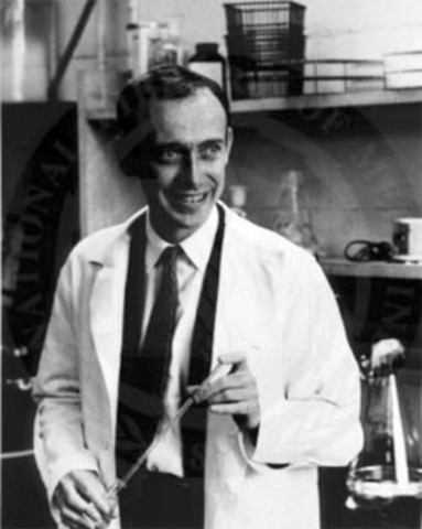 James Watson y Francis Crick, descubren la estructura de la molécula ADN.