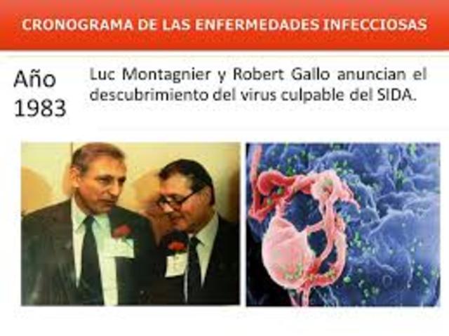 Luc Montagnier y Robert Gallo, anuncian el descubrimiento del virus del SIDA.