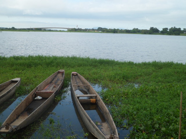 Contenido de la unidad