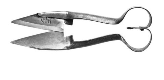 Sheep Shears