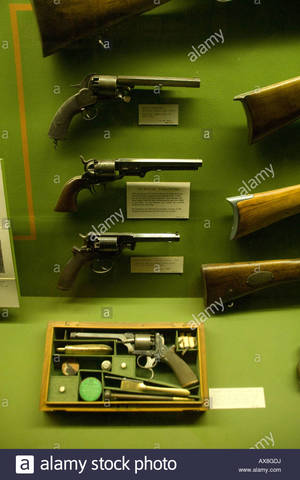 Pitt-Rivers se interesa por la historia de las armas de fuego