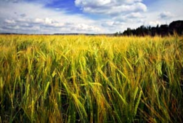 Aumento de la población agrícola