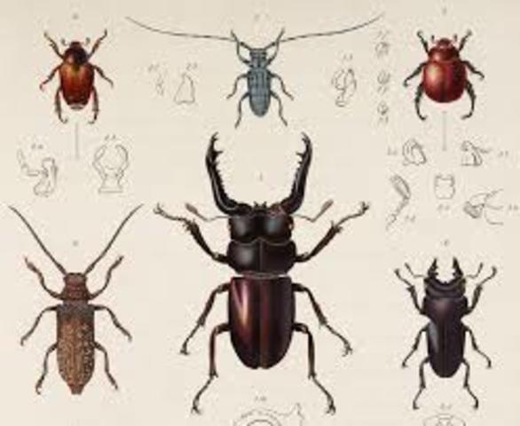 Travels to Wales to Collect Insects