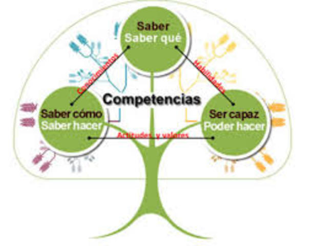 González y Wagenaar