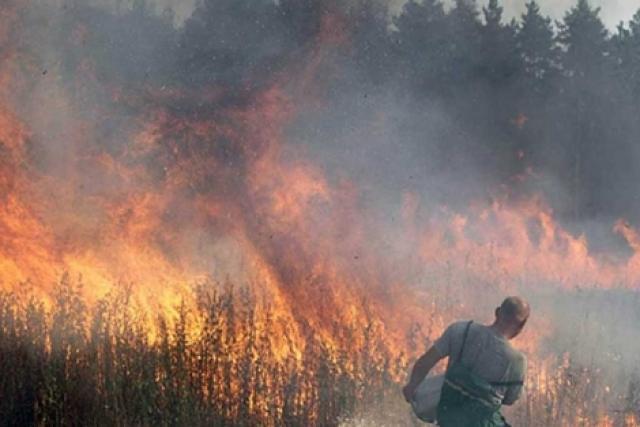 Ola de calor en Europa.