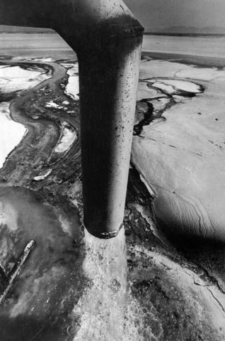 Chisso Factory releases Mercury into Minmata Bay