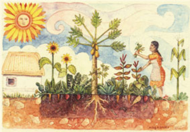 Mesoamerica (2500-1500 a.C)