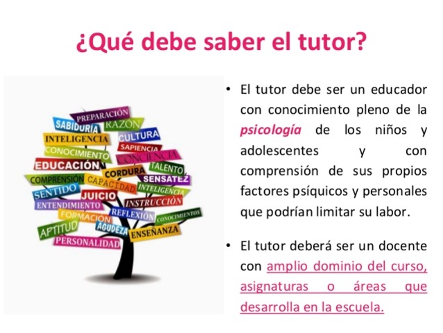 cuales son las principales funciones de la educación